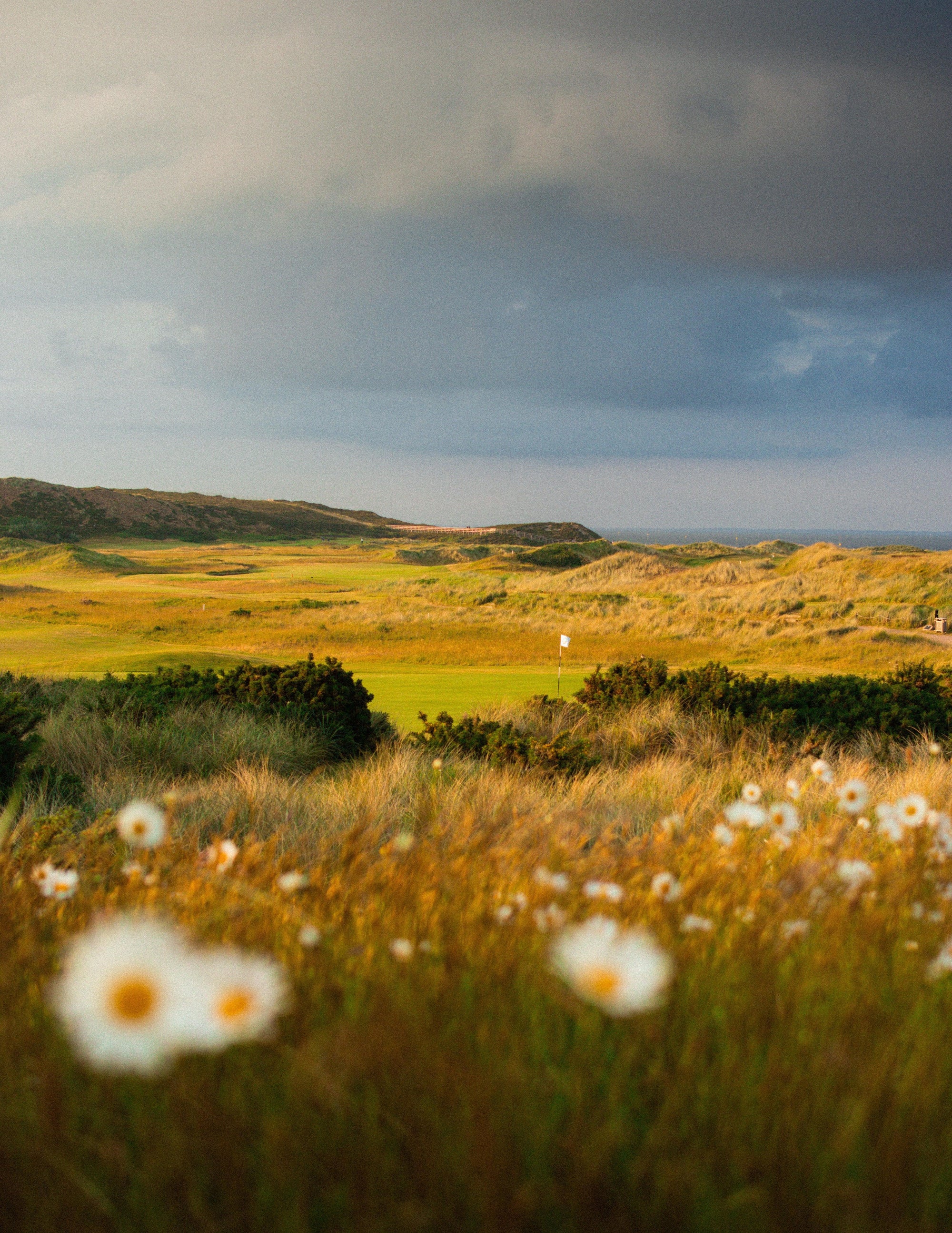 Golf Clothing & Accessories | Soft Hands Club