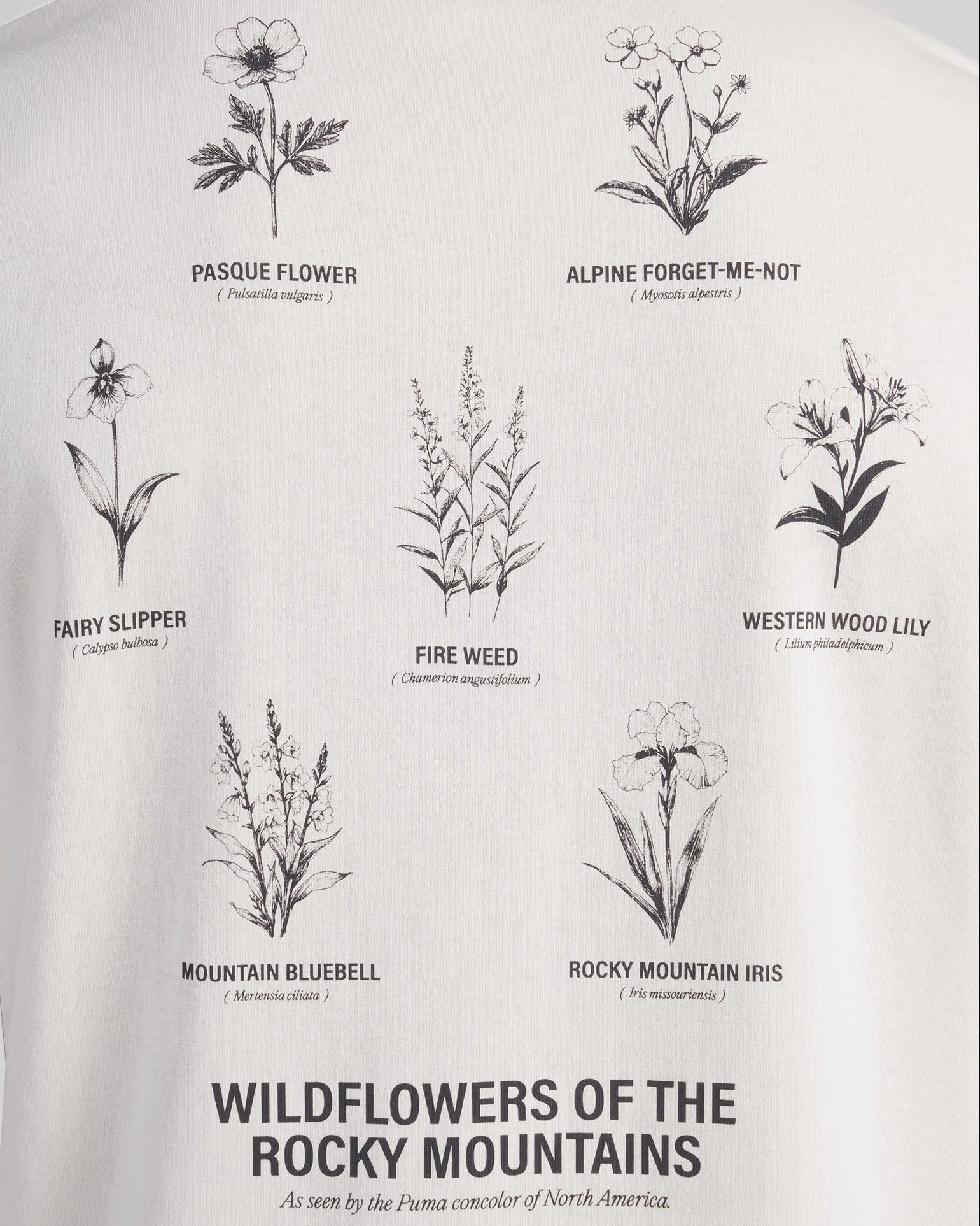 Gumtree Golf & Nature Club GGNC x Puma – Wildflowers of the Rocky Mountains T-Shirt Warm White Golf T-shirt | Soft Hands Club
