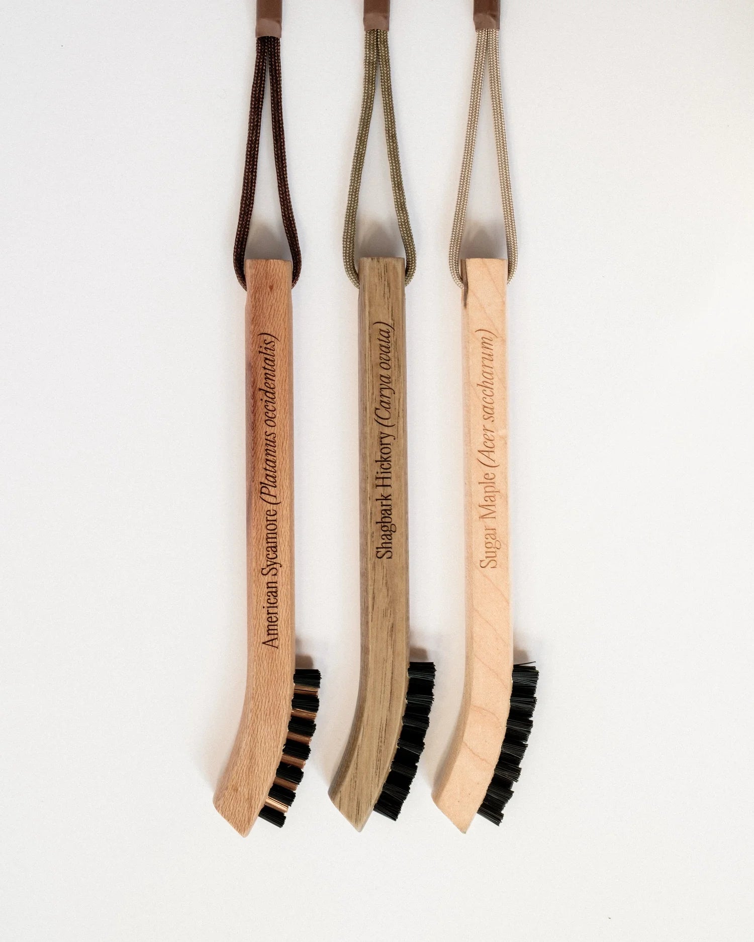 Dimple & Divot x Gumtree Golf & Nature Club – Species Brush