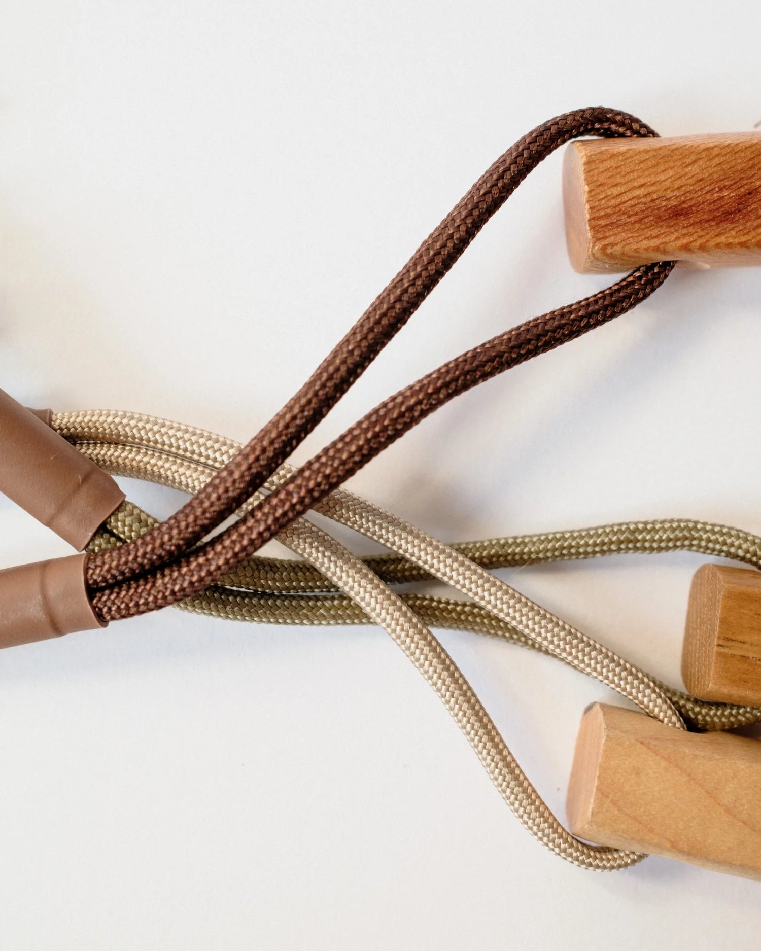 Dimple & Divot x Gumtree Golf & Nature Club – Species Brush Shagbark Hickory