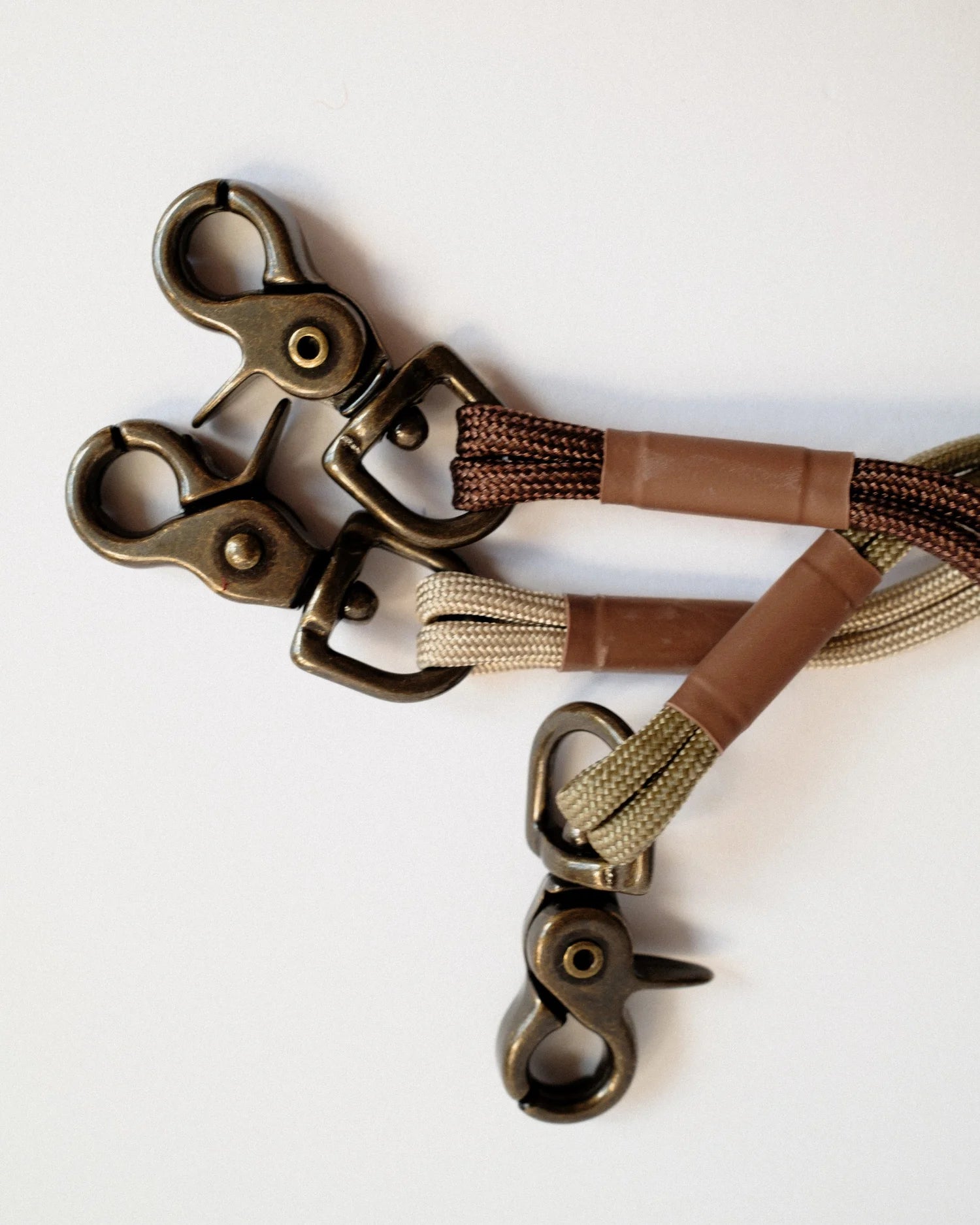 Dimple & Divot x Gumtree Golf & Nature Club – Species Brush Shagbark Hickory