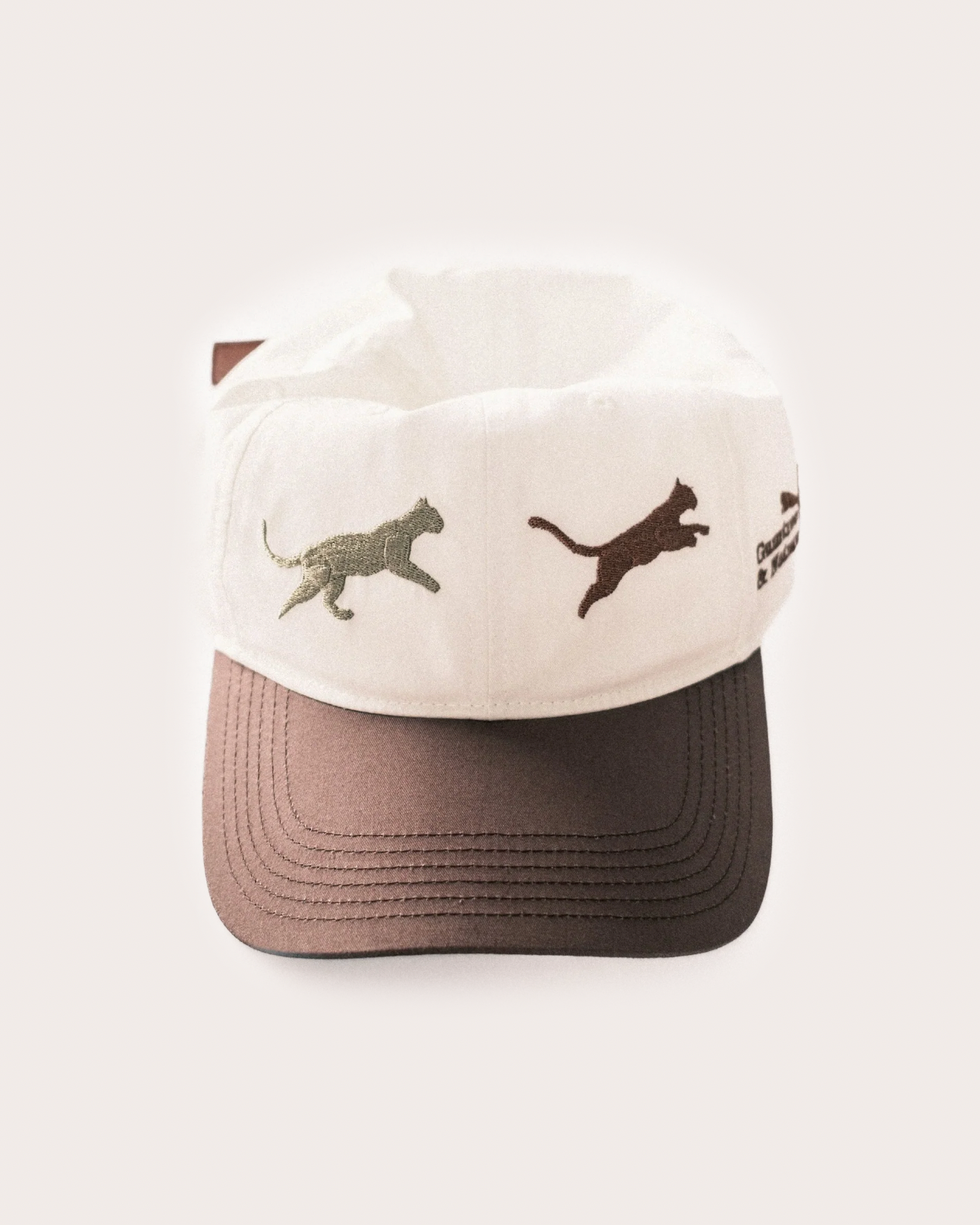 Baseball cap with cat illustrations on a white background