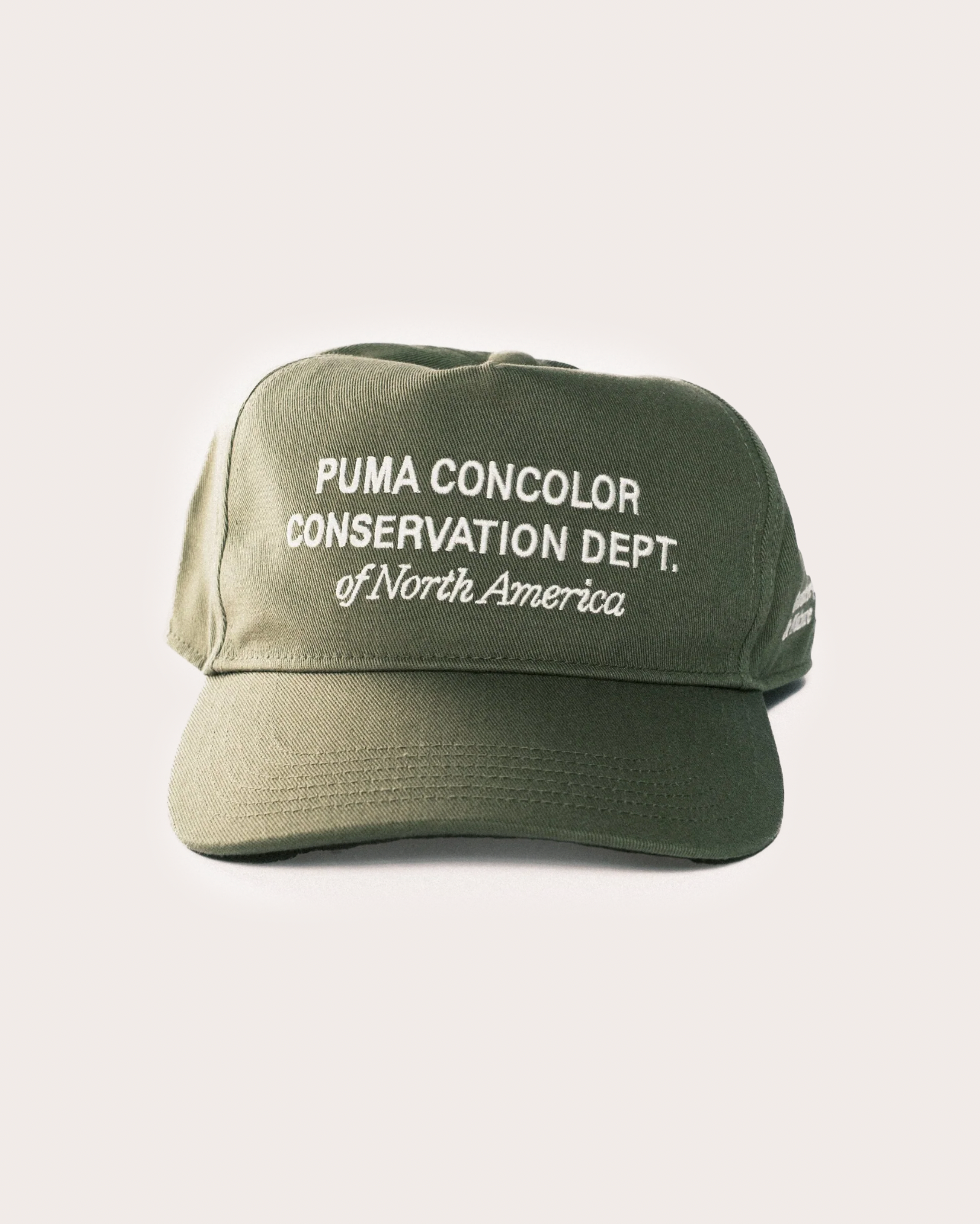 Green cap with text on a white background