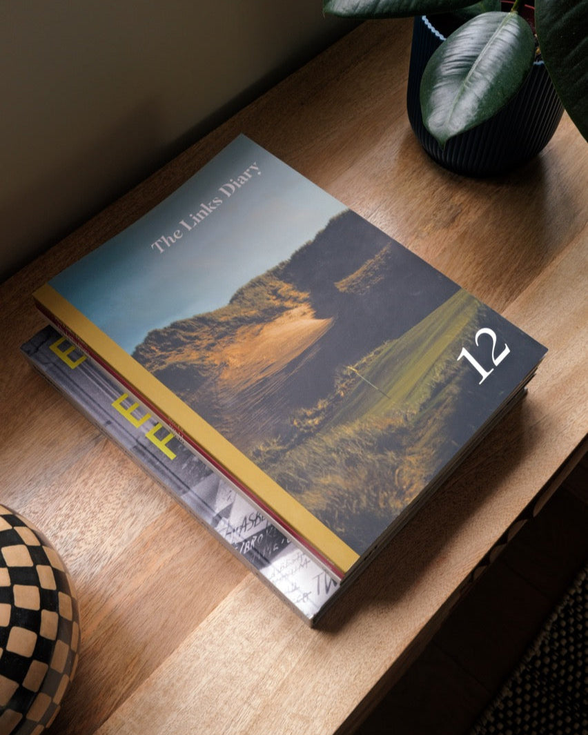 Book titled 'The Twelve Diary' on a wooden surface with a plant in the background