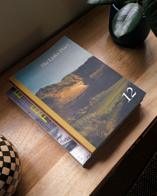 Book titled 'The Twelve Diary' on a wooden surface with a plant in the background